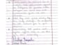 neat hand writting service assignments, notes and more